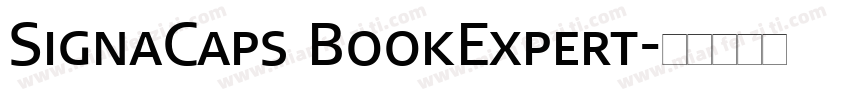SignaCaps BookExpert字体转换